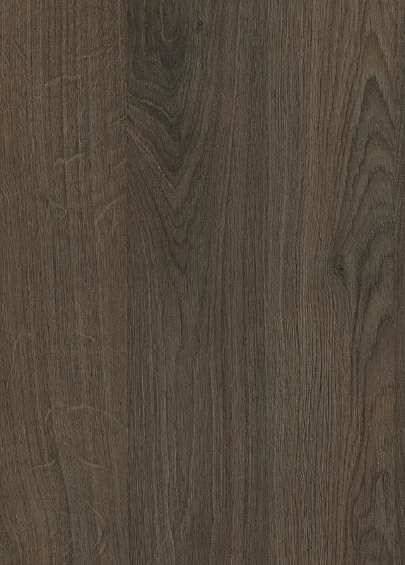 Dark Birch