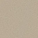 Birch Beige