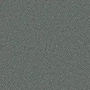 Asteroid Grey
