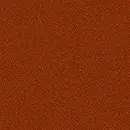 Pumpkin Orange
