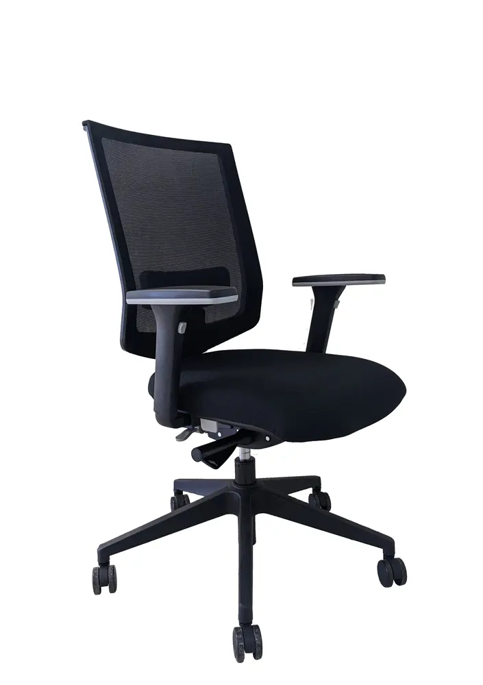 Sun-Maxy Mesh Office Chair