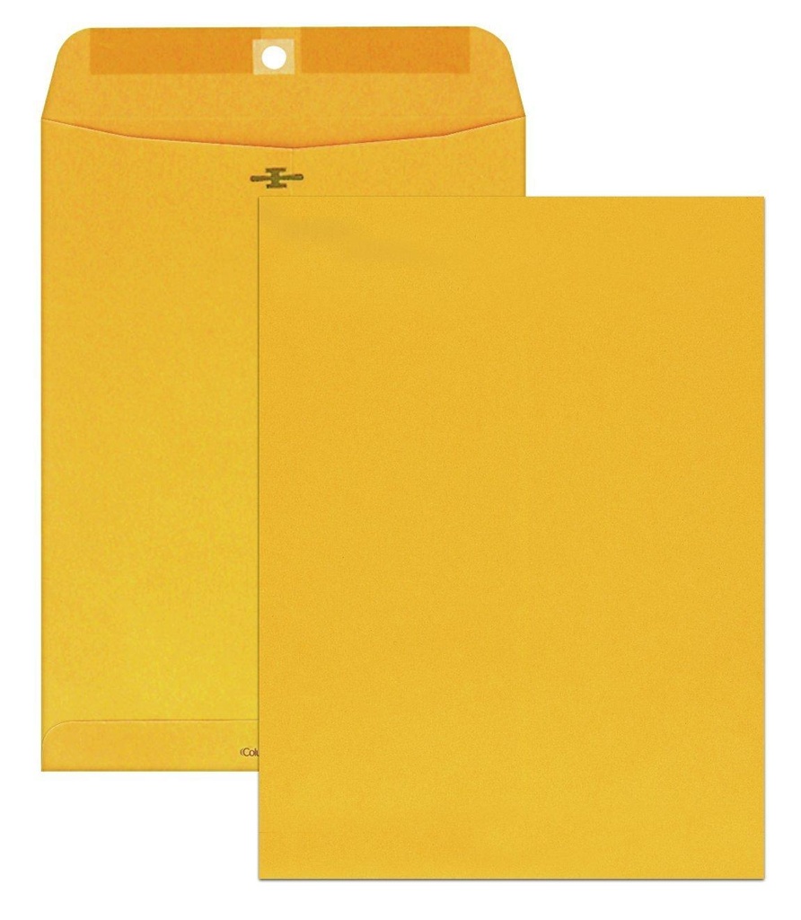 Clasp Envelope 6" x 9"