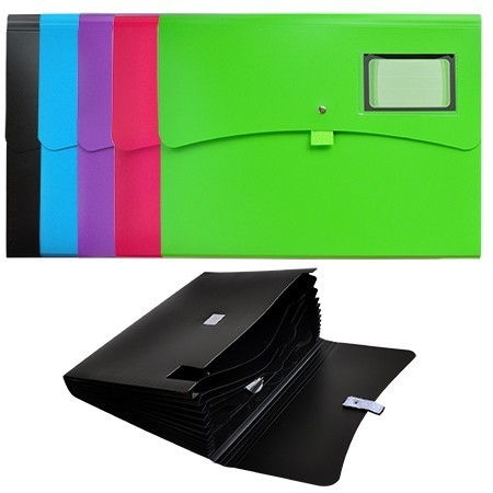 Plastic Expanding File - 12 Pockets