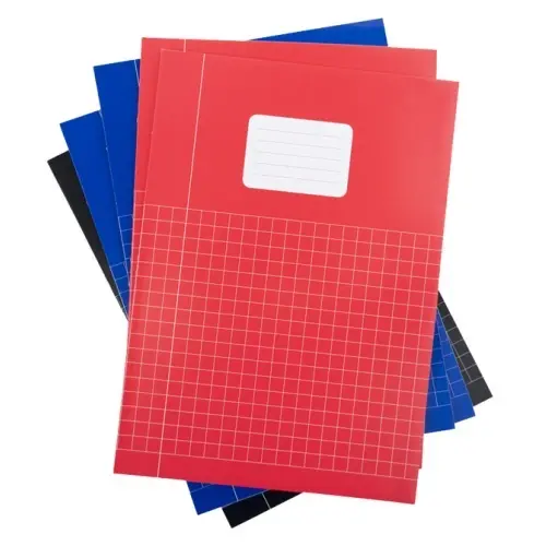 Squared 10mm A4 School Notebooks - Assorted Basic Colors