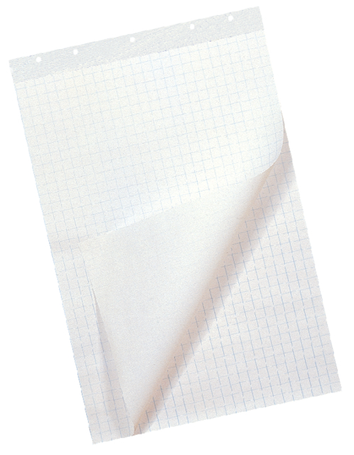 Flipchart Paper - Squared 25mm