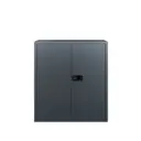 Stationery Cupboard, h.100, AN