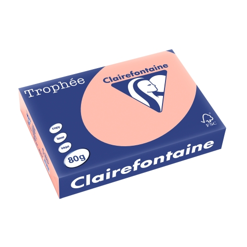 Copy Paper A4 80gsm. (500) - Peach
