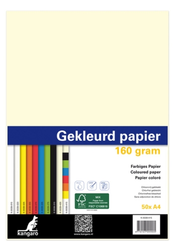 Copy Paper A4 160gsm. (50) - Assorted Colors