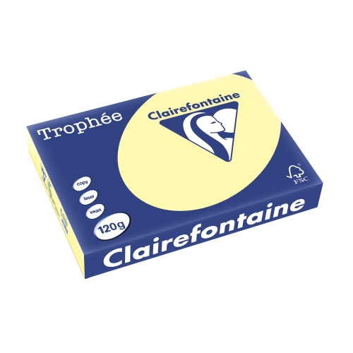 Copy Paper A4 120gsm. (250) - Canary Yellow