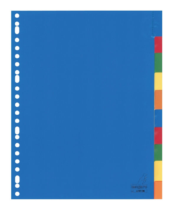 A4 PP Index Divider - 10 Tabs Incl. Transparent Window