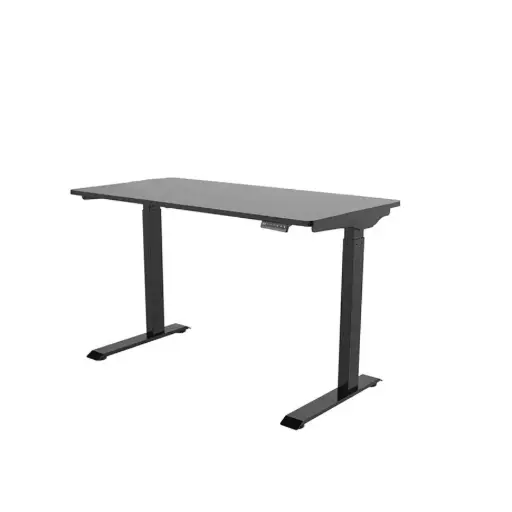 [4EADE0984] Sit-to-Stand Desk - E9