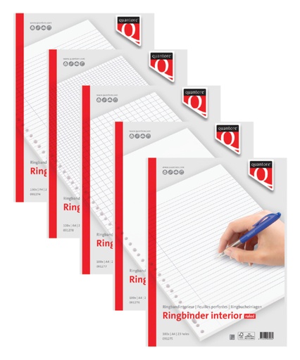 [3PADI0023] Ringbinder Interior A4 (100) - Squares 10mm.