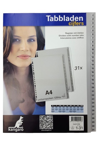 [3RBTB1002] A4 PP Index Divider Gray - Numbered Tabs 1-31