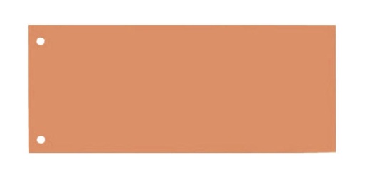 [3RBTB1539] Dividing Cards - Orange