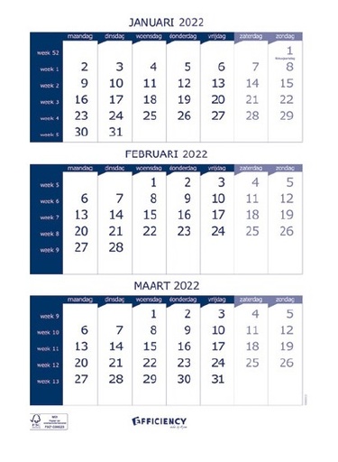 [3YRCA0022] Ryam Three Month View Calendar