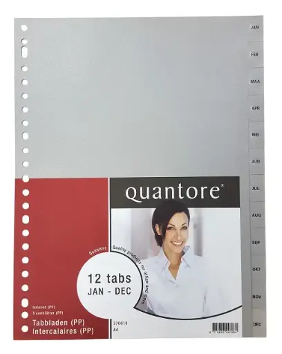 [3RBTB0504/10] A4 Quantore PP Index Divider Gray - Monthly Tabs (Pack of 10)