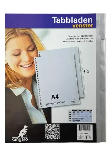 [3RBTB1502/25] A4 PP Index Divider Gray - 5 Tabs Incl. Transparent Window (Pack of 25)
