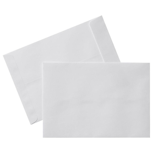 [3ENPL2020] White Akte Envelope 229 x 324mm