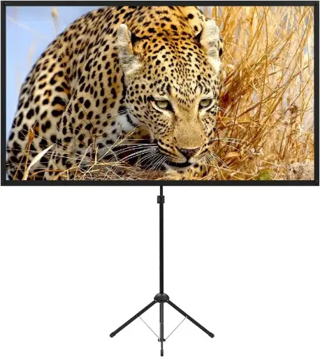 Portable Projector Screen With Stand 80 Inch