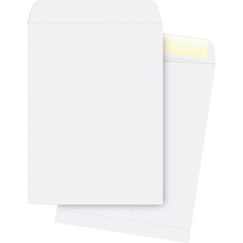 [3ENPL3029] White Wove Catalog Envelopes - 9" x 12"