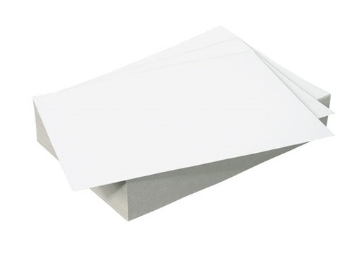 [3HEUT0182] Prick Cardboard White 10-Pack