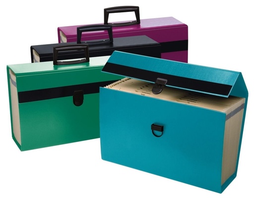 [3MAEP5051] Portafile Expanding Organizer - 19 Pockets