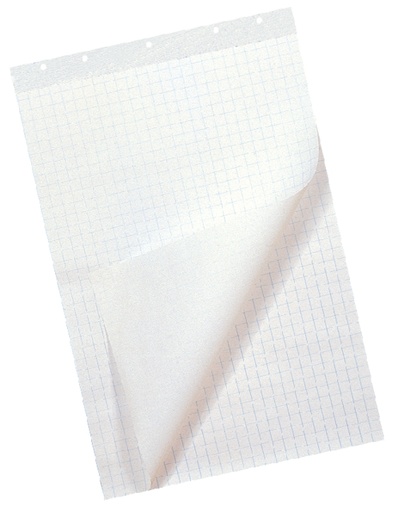 [3NOOB0504] Flipchart Paper - Squared 25mm