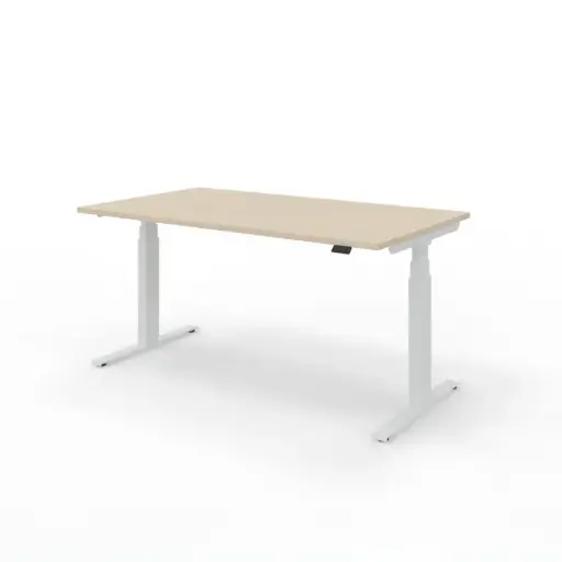 Sit-to-Stand Desk